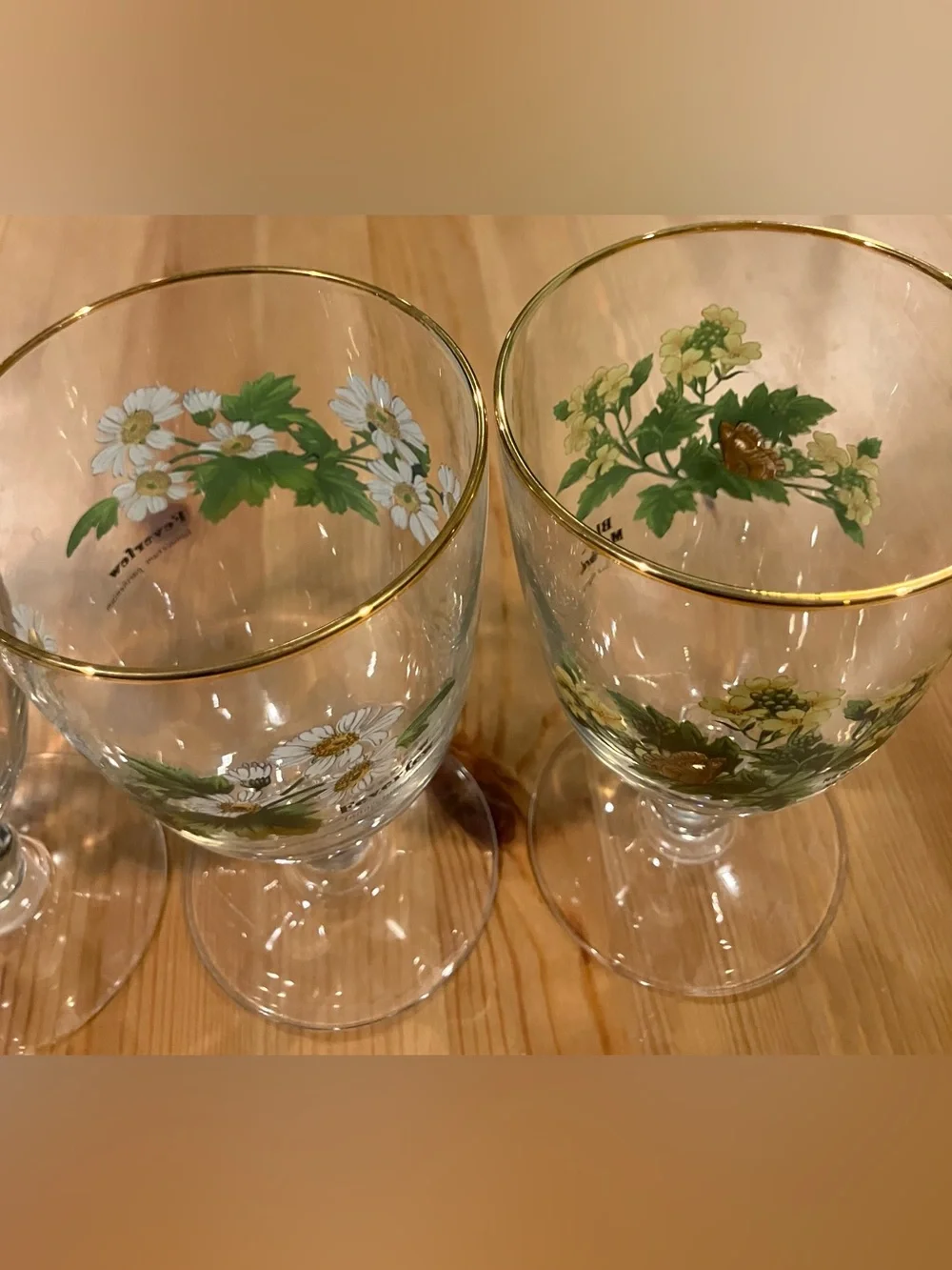 EUC Royal Worchester Herbs Stemmed Water Goblets w/Gold Rim (Set of 4) Vintage